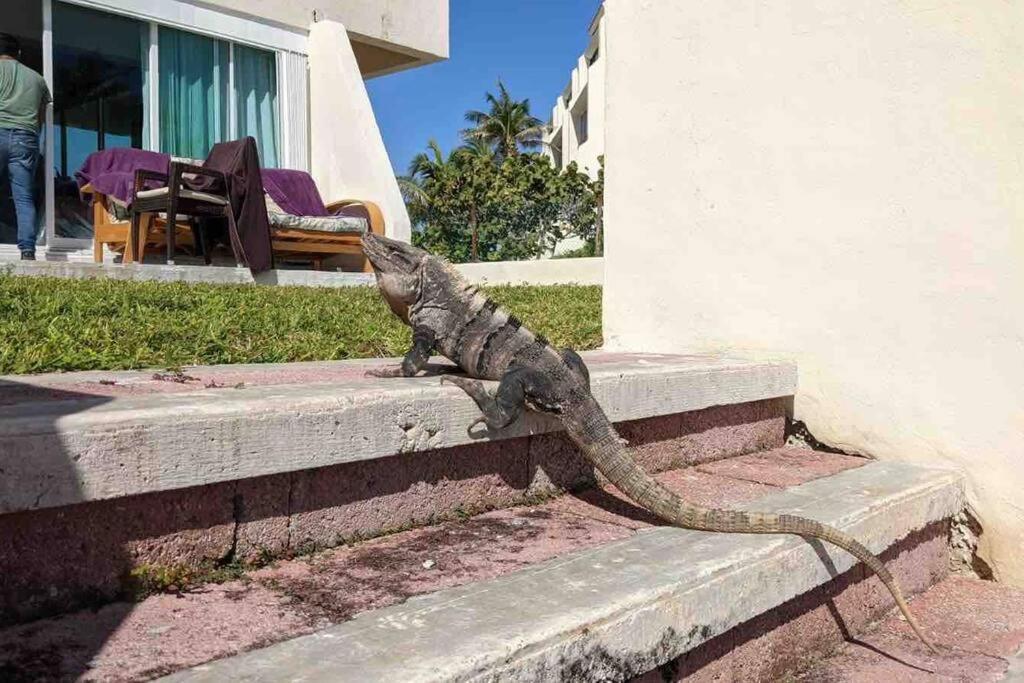 Cancun Oceanfront, Entire Apartment Luaran gambar